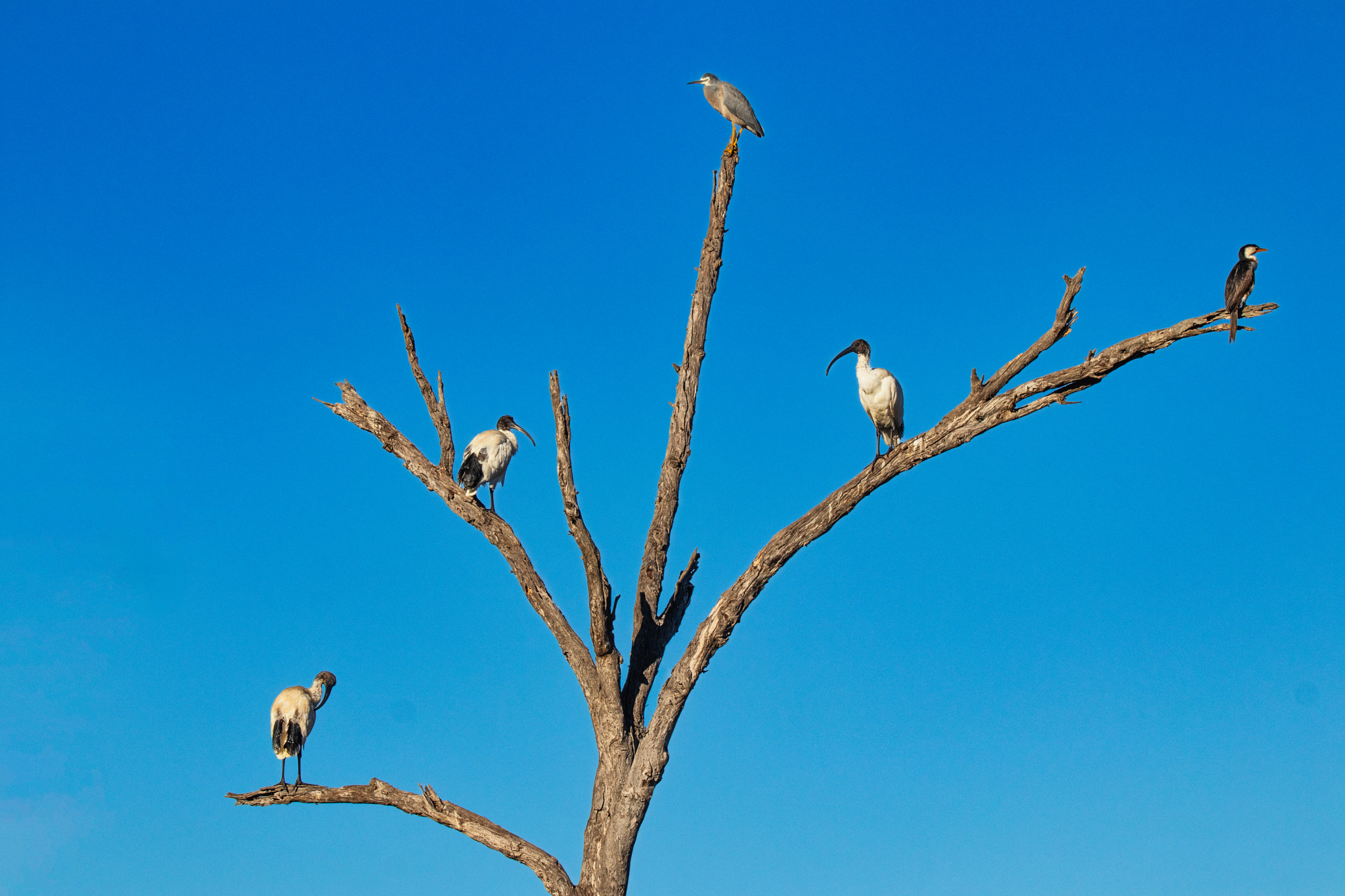 Catching the Sun by Paul Amyes on 500px.com