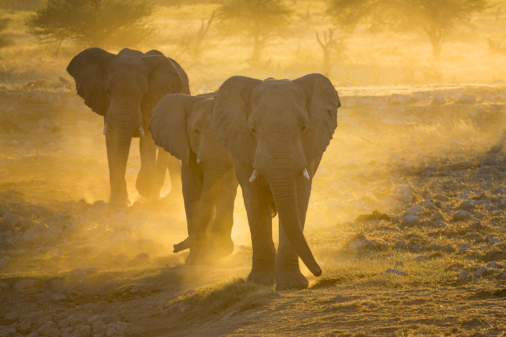 Sunset Sojourn by Ian Plant on 500px.com