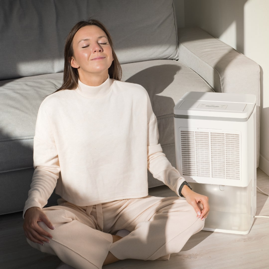 BioCair - Air Purifiers Demystified: Indoor Upgrades Unveiled