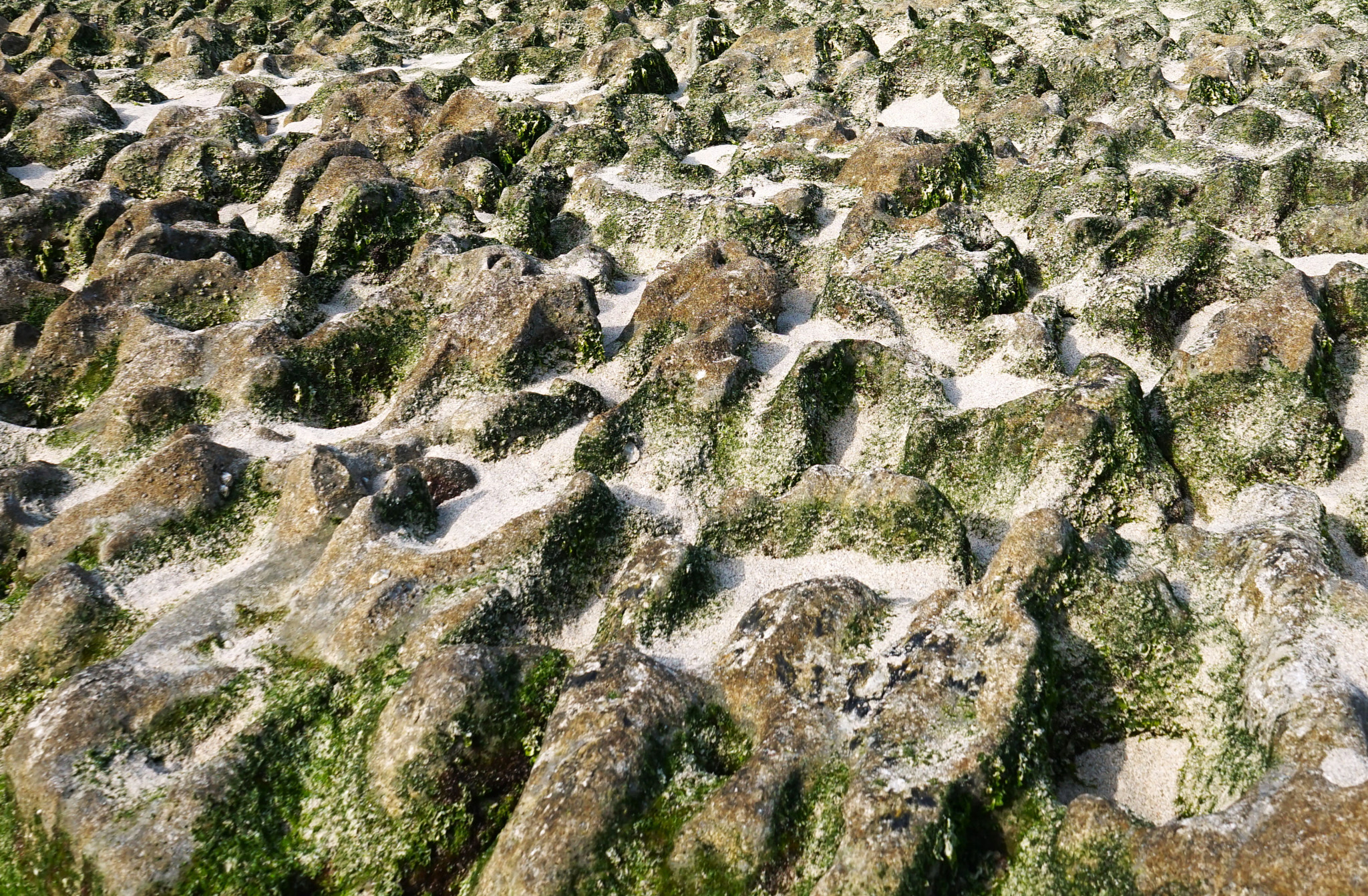 Full frame shot of rock formation