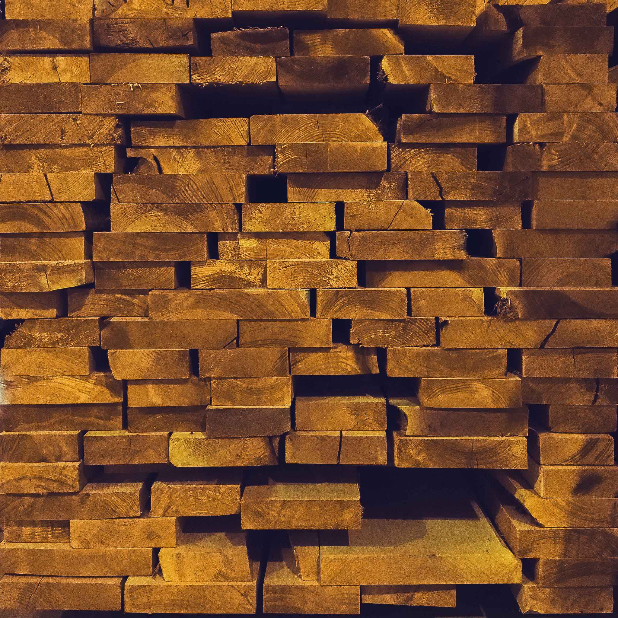 Full frame shot of lumber maple tree