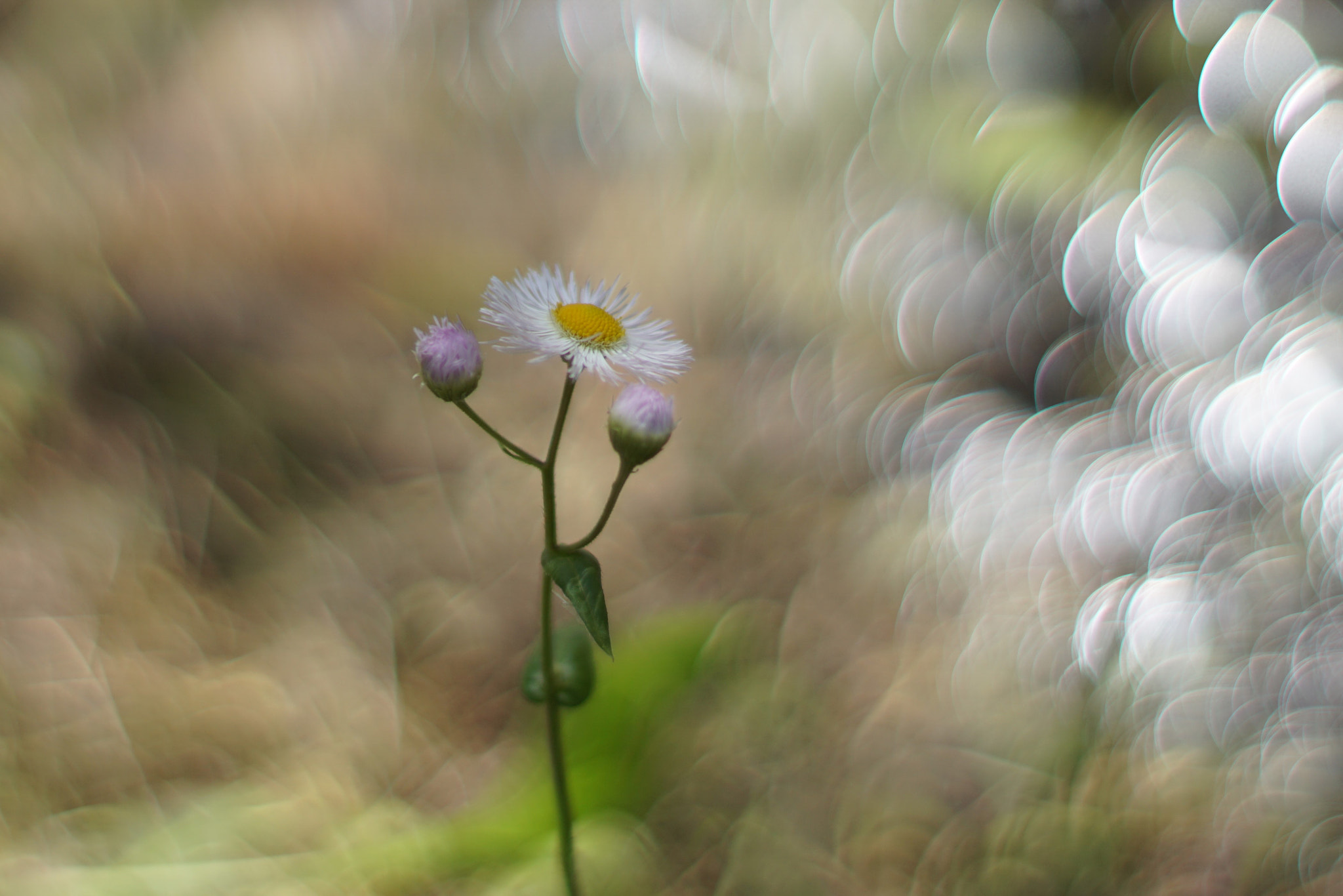  by shoji uno on 500px.com