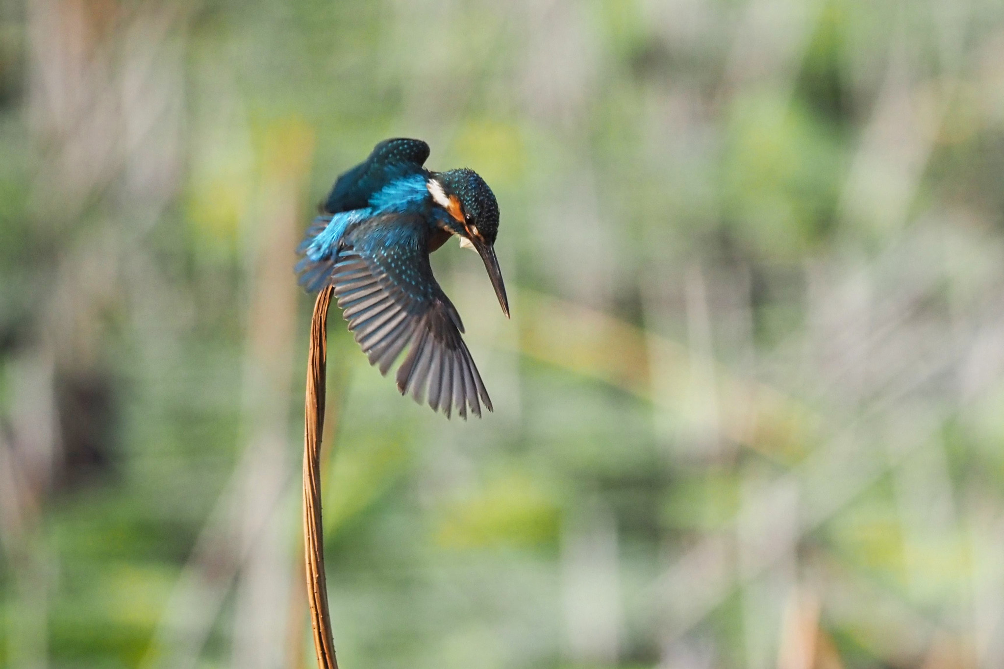  by shoji uno on 500px.com