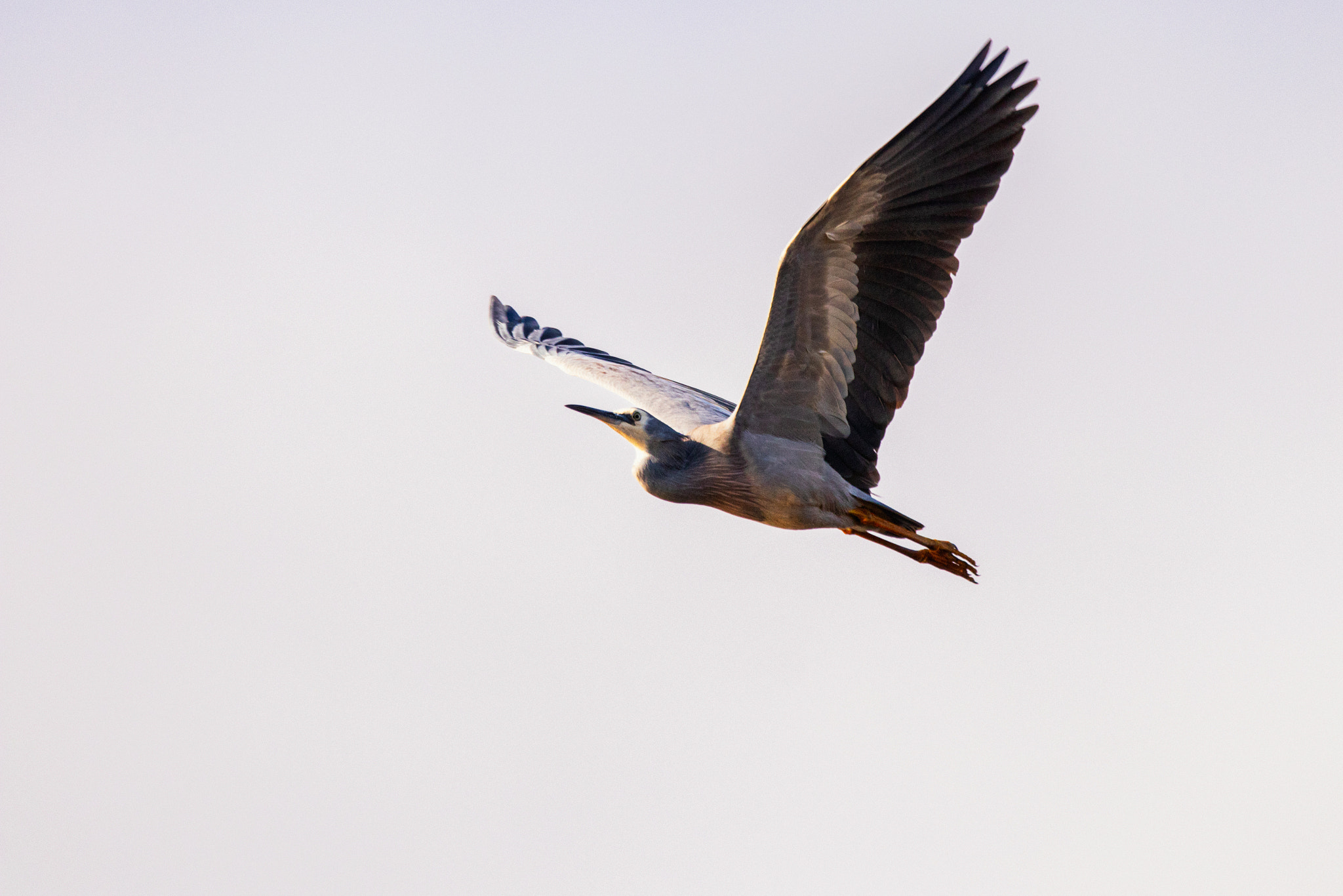 Wayan by Paul Amyes on 500px.com