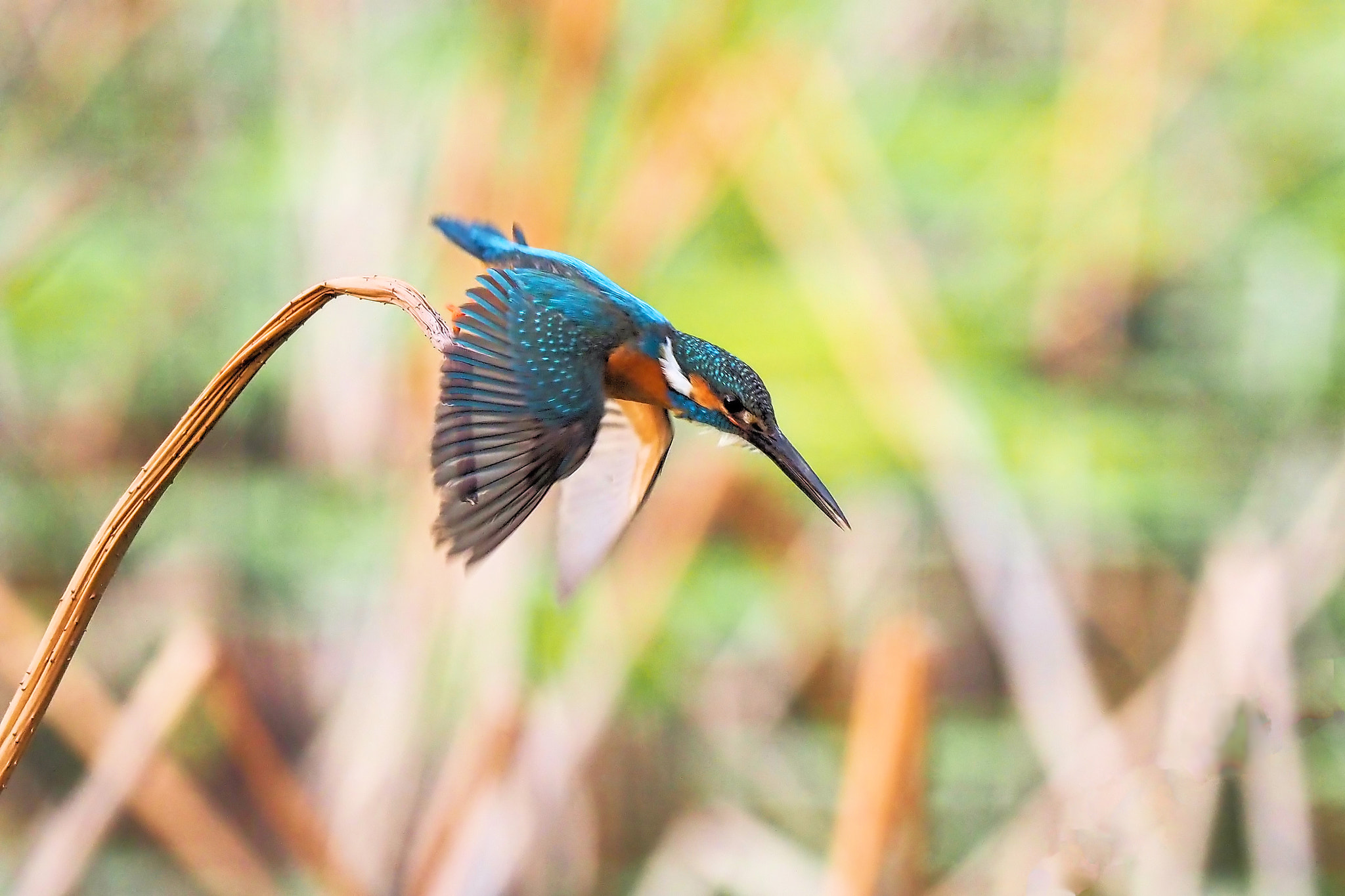  by shoji uno on 500px.com