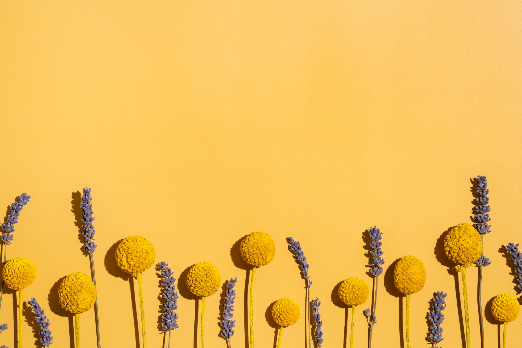 v2?sig=6d9261e355c91729c061bb5e34253d47eb4c9ec074899dce9d45aa89bc130943