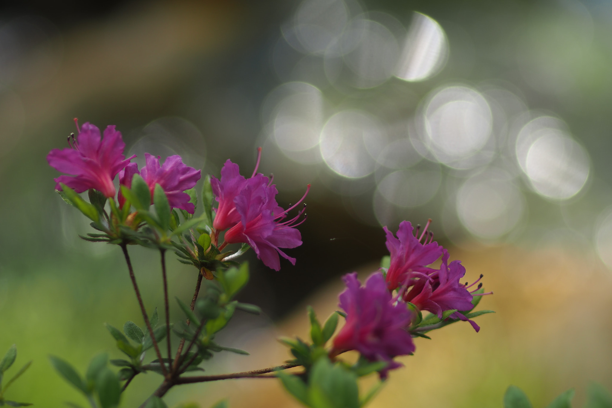  by shoji uno on 500px.com