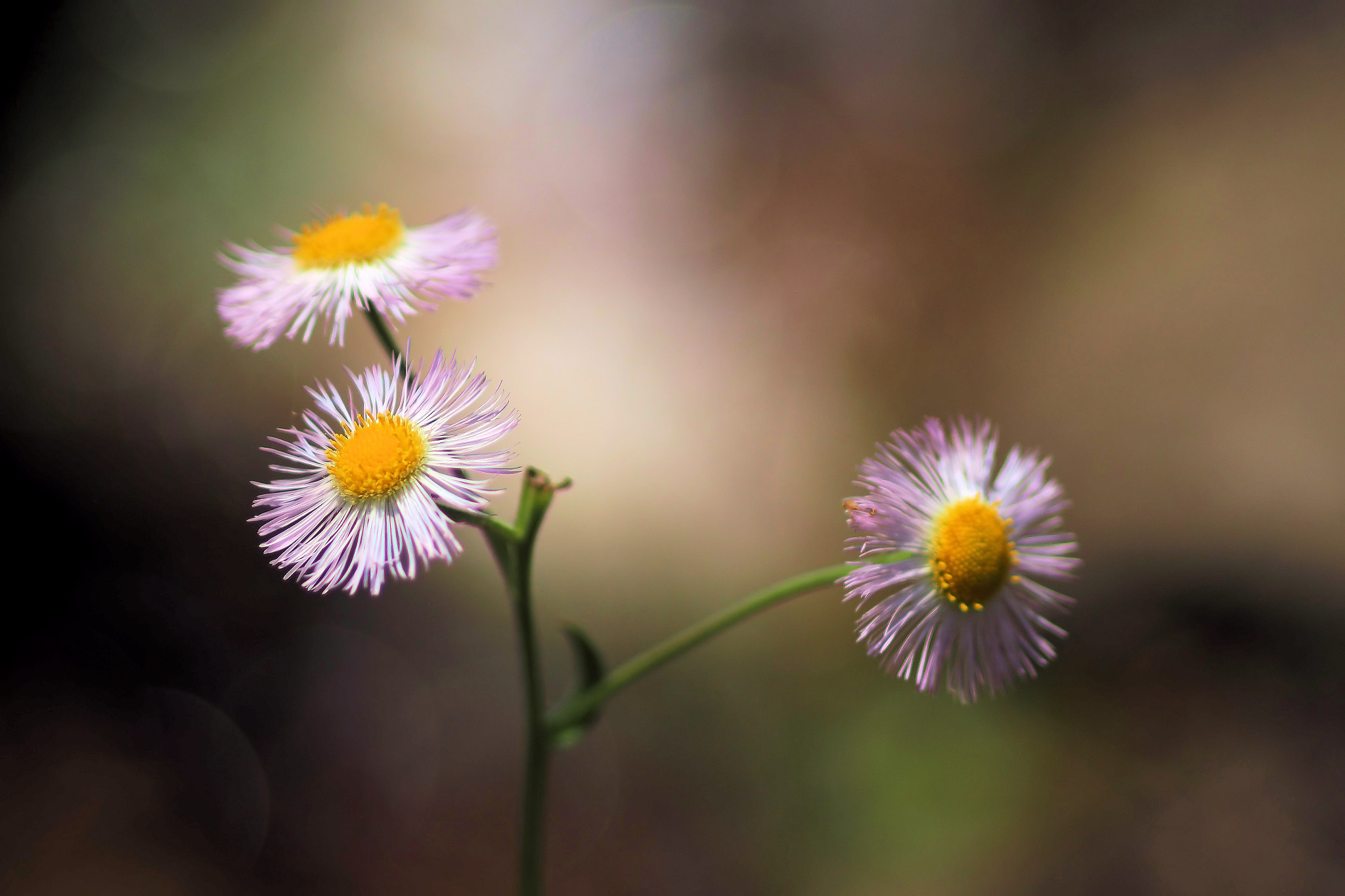  by shoji uno on 500px.com