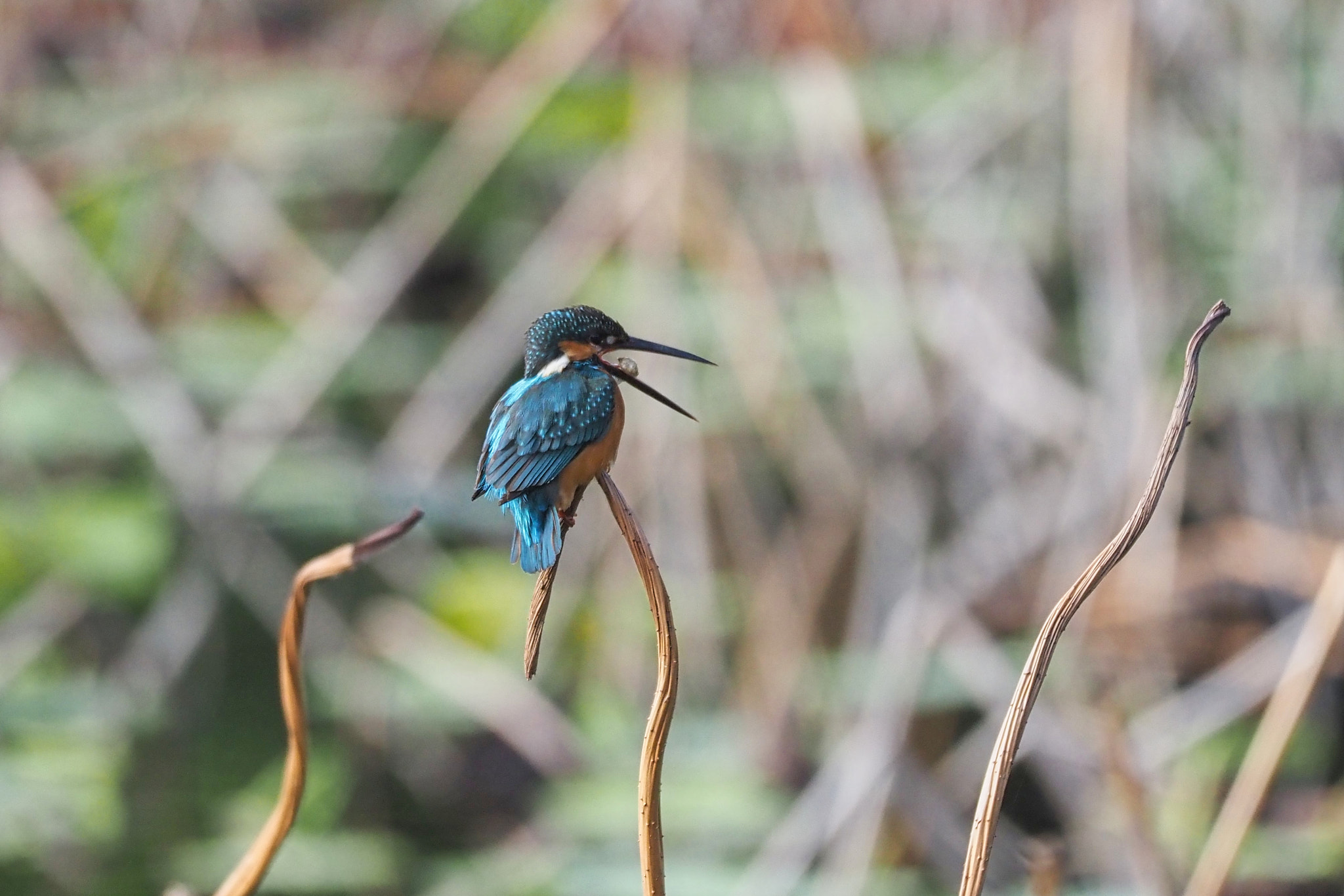  by shoji uno on 500px.com