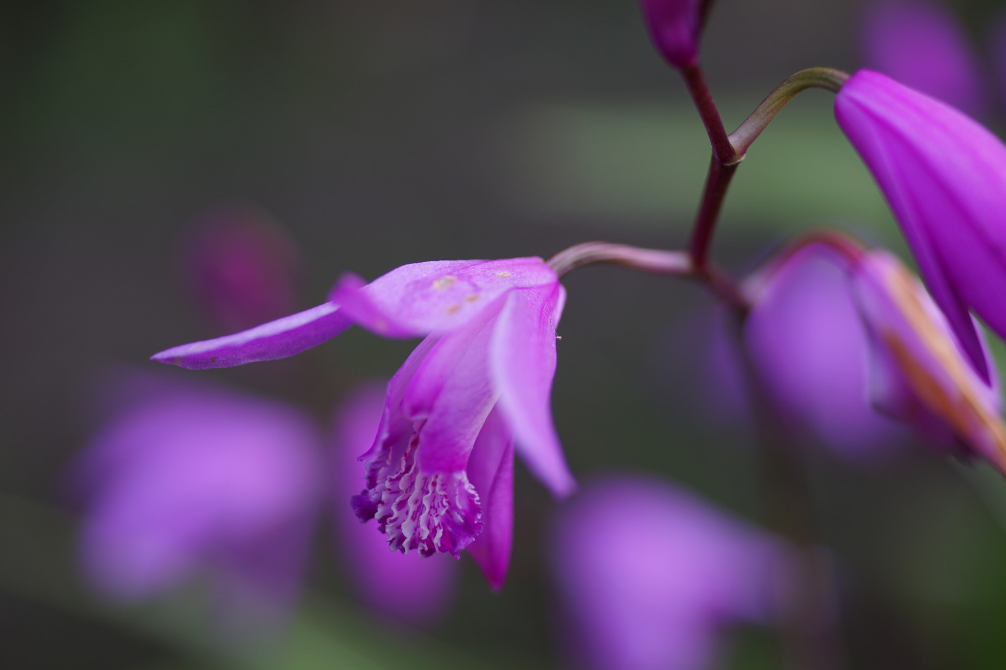  by shoji uno on 500px.com
