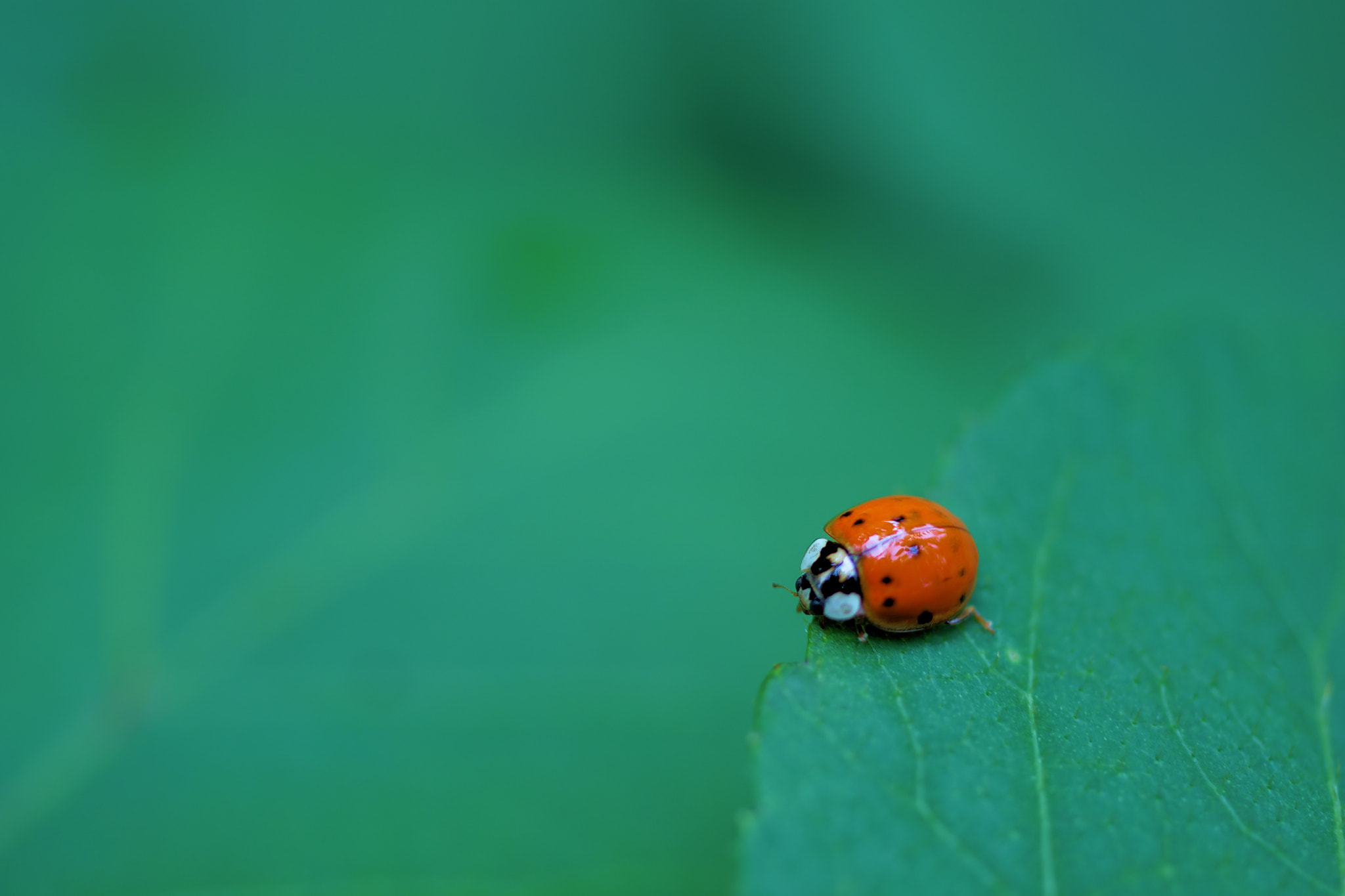  by shoji uno on 500px.com