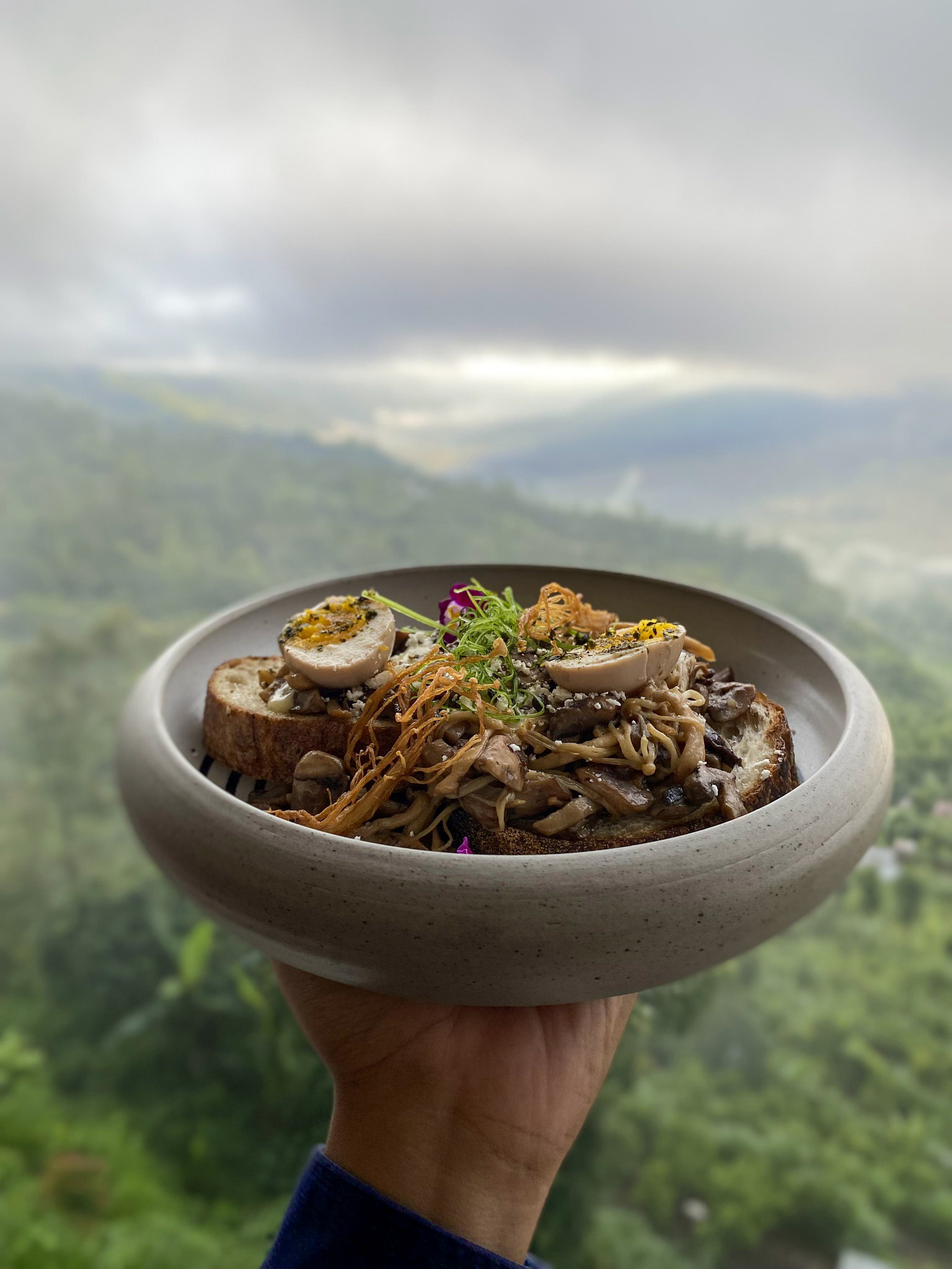 someone holding a plate of food with a view of a valley.