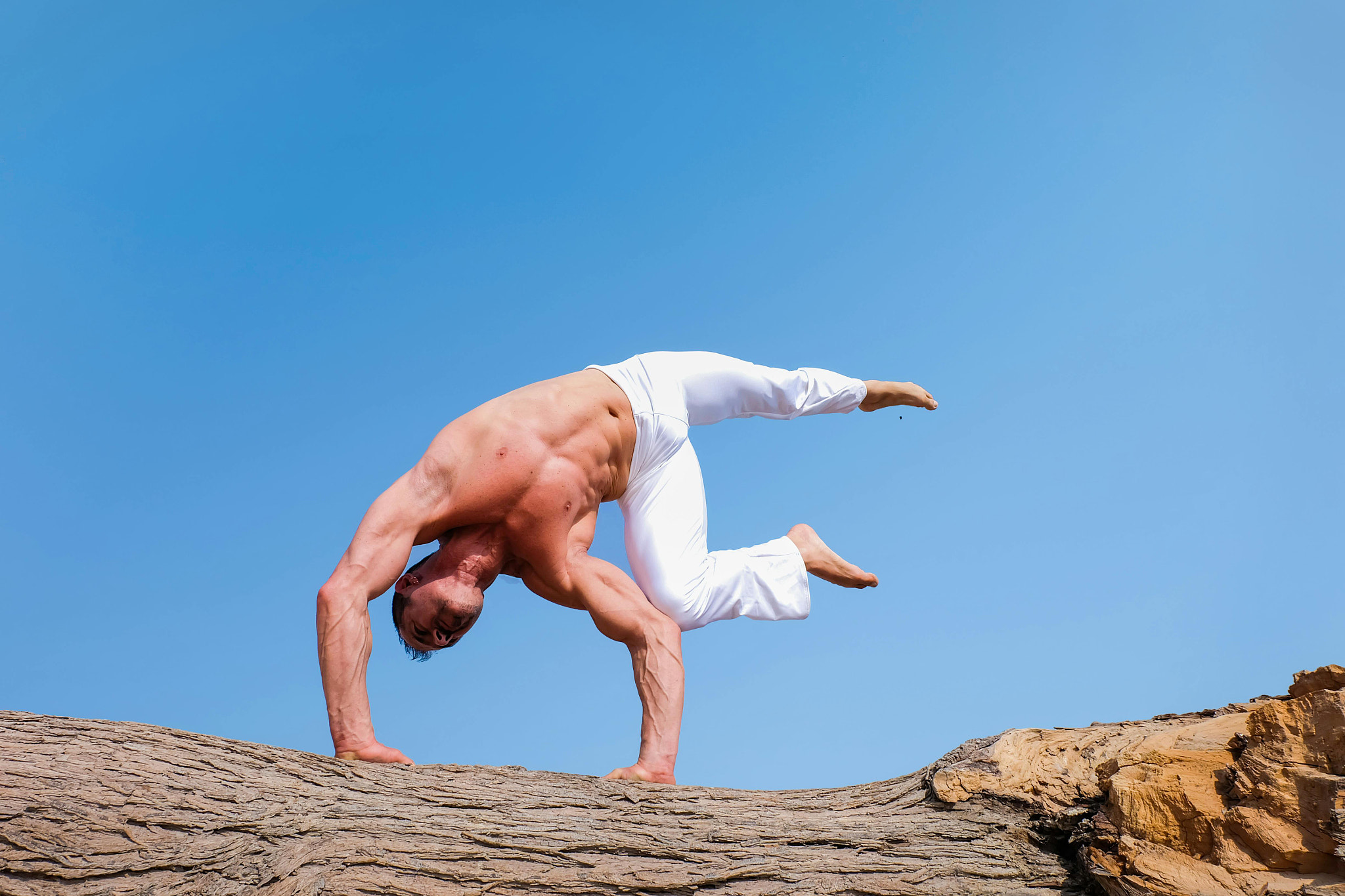 10 Essential Yoga Poses for Senior Health and Well-Being