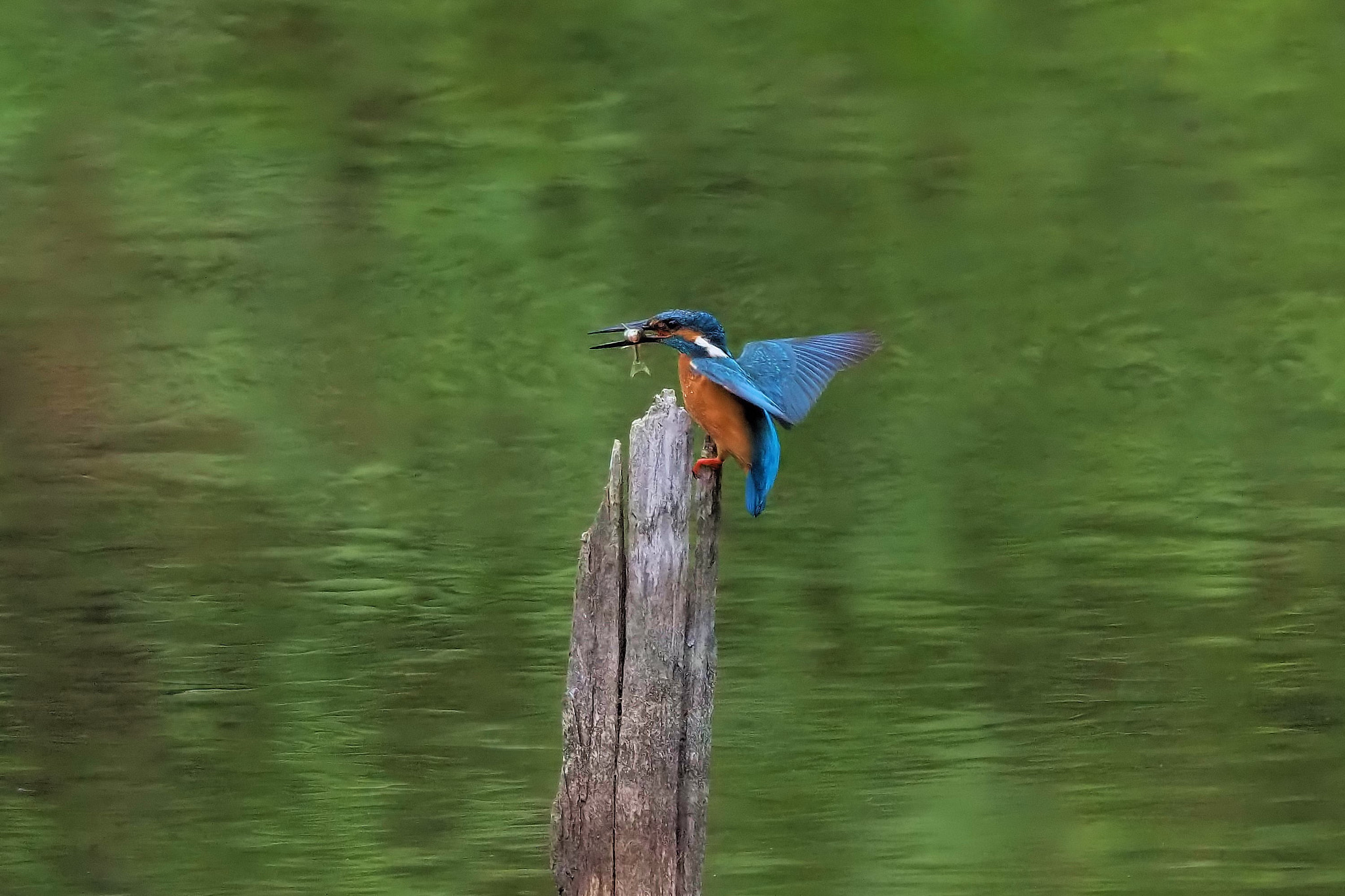  by shoji uno on 500px.com