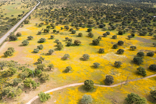 Extremadura Spain during super bloom in spring!  by Peter van Haastrecht on 500px.com