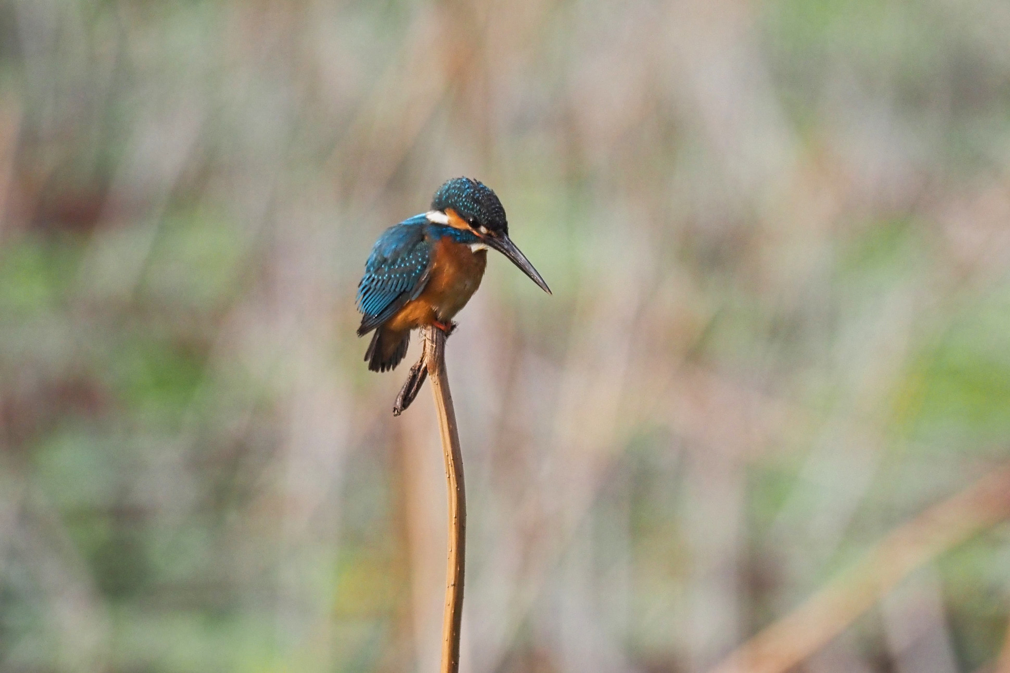  by shoji uno on 500px.com
