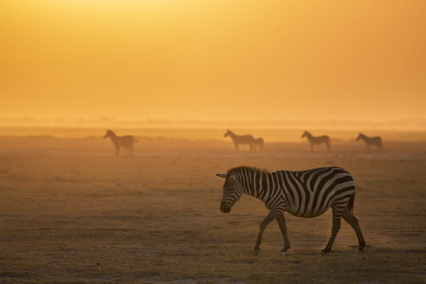 On the way home by Hao Jiang on 500px.com