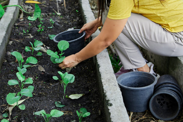 Midsection of woman working in vegetable garden by Anucha Muphasa on 500px.com