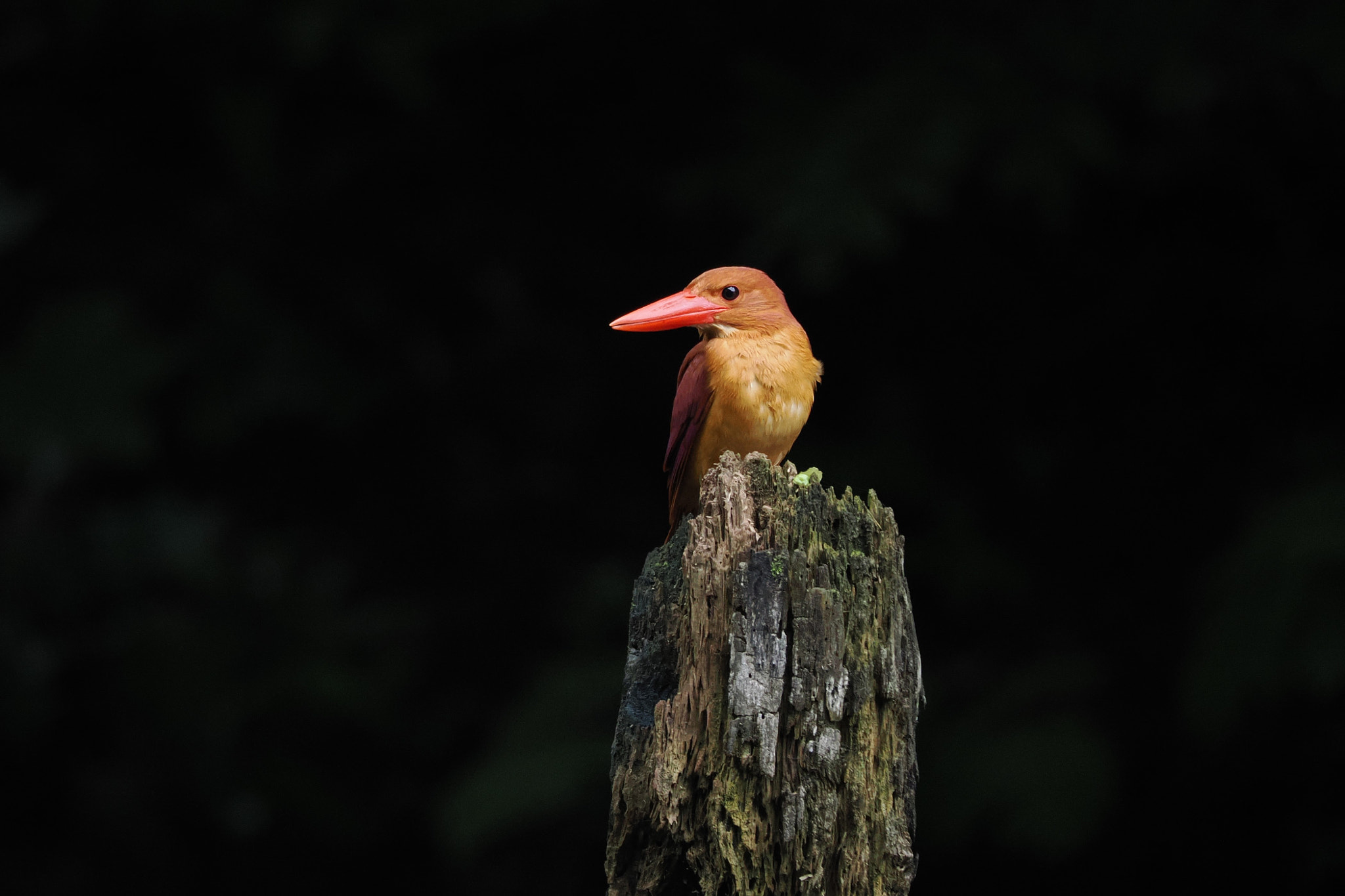  by shoji uno on 500px.com