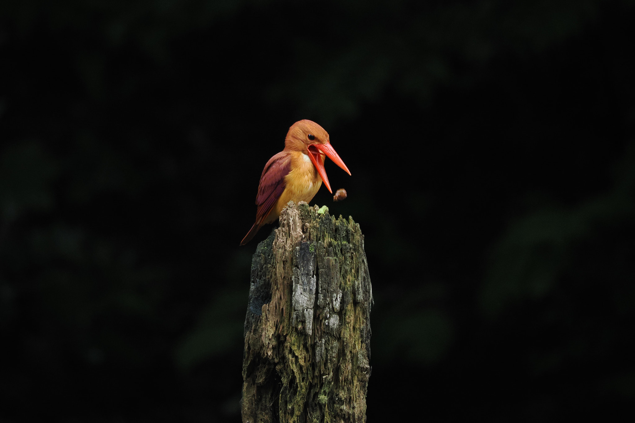  by shoji uno on 500px.com