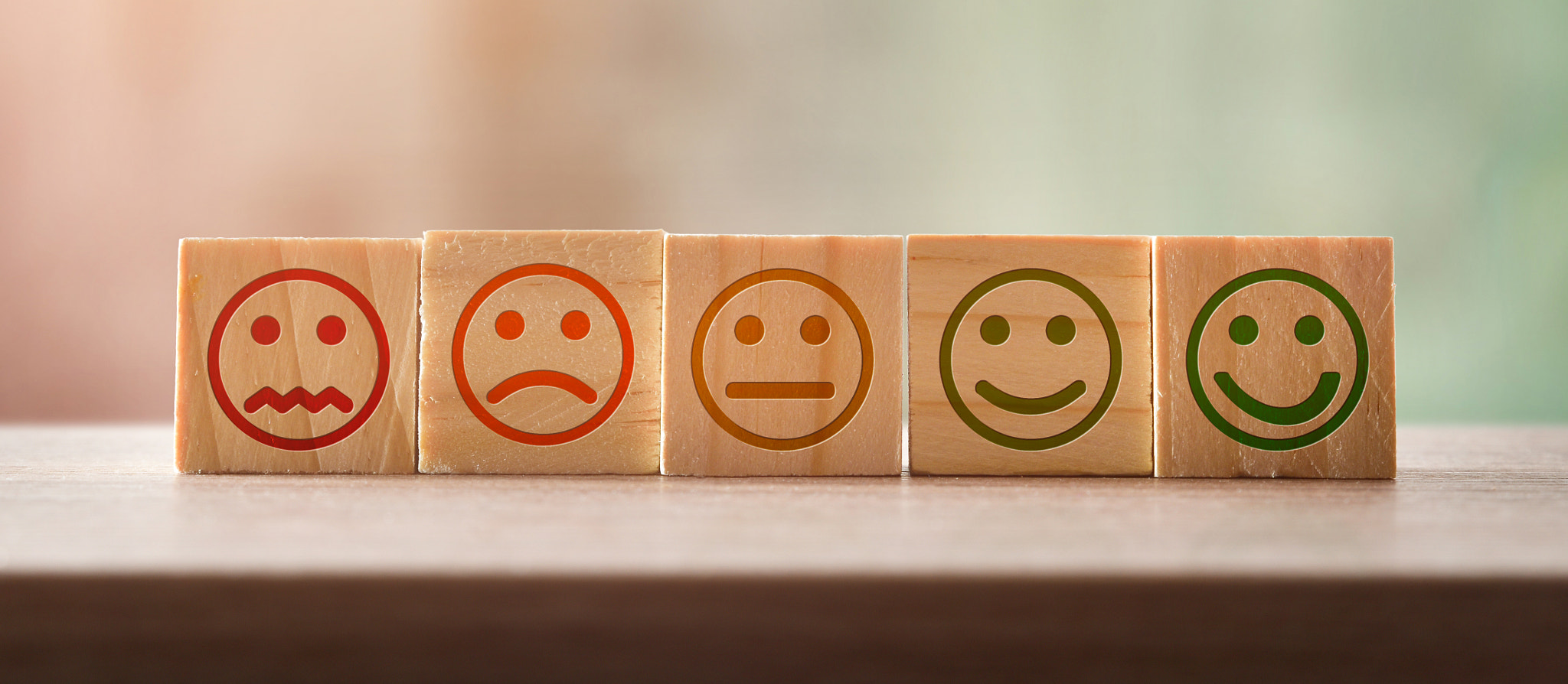 Evaluation of products and services with faces with various emotions