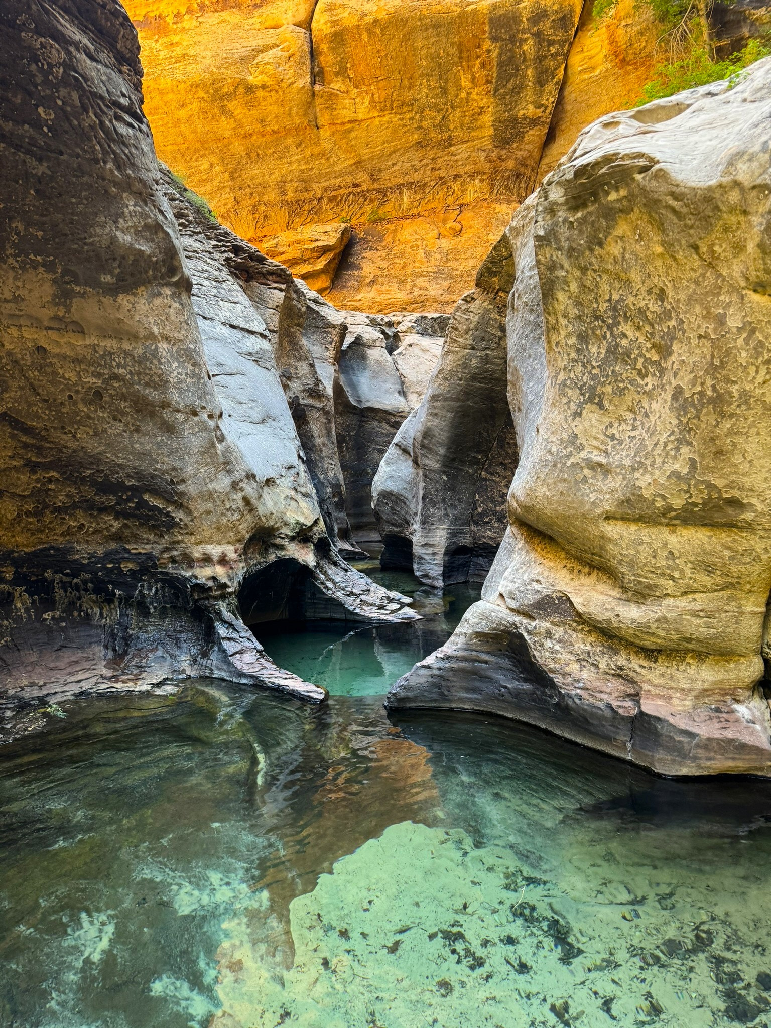 The Subway - Zion National Park