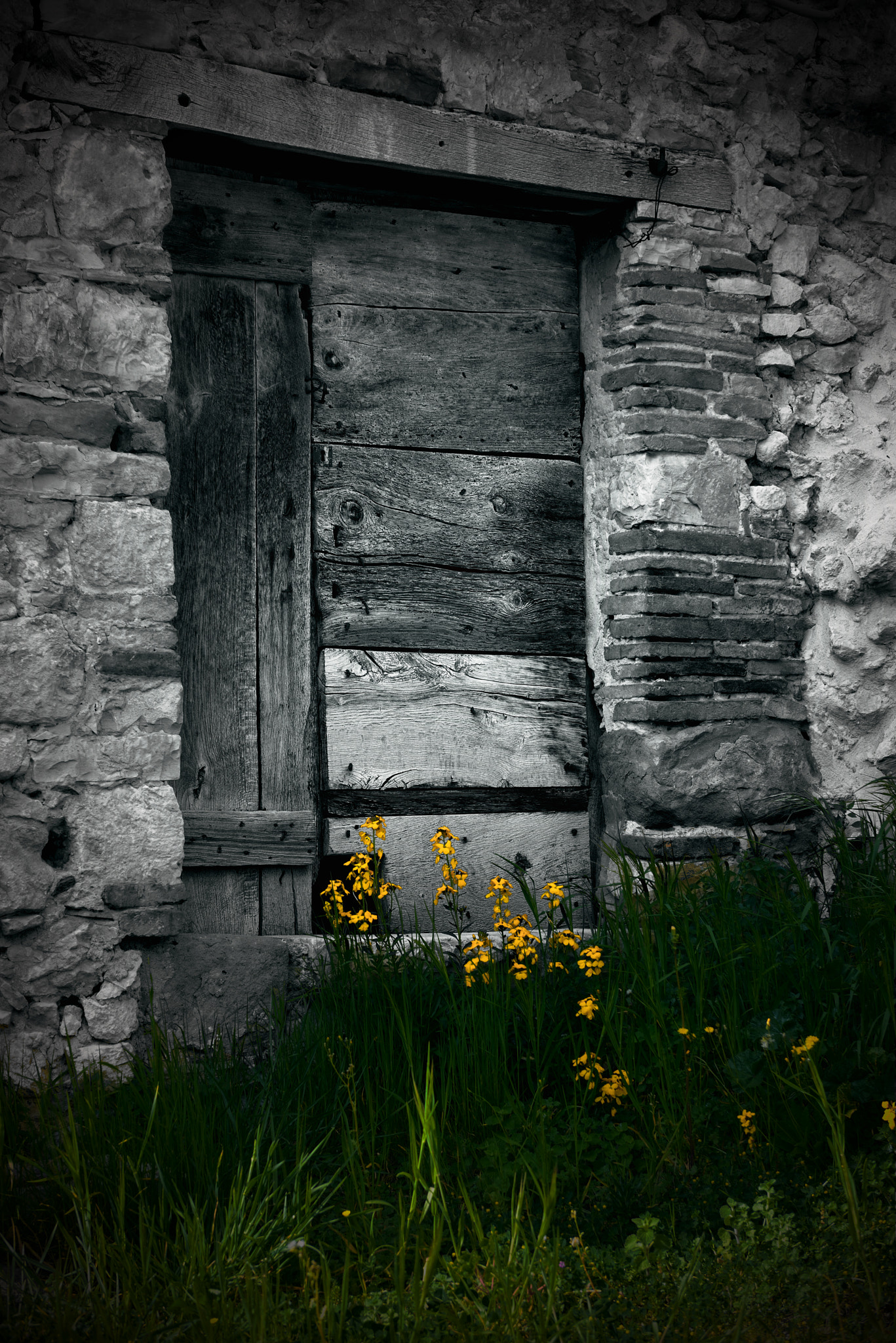 The hope