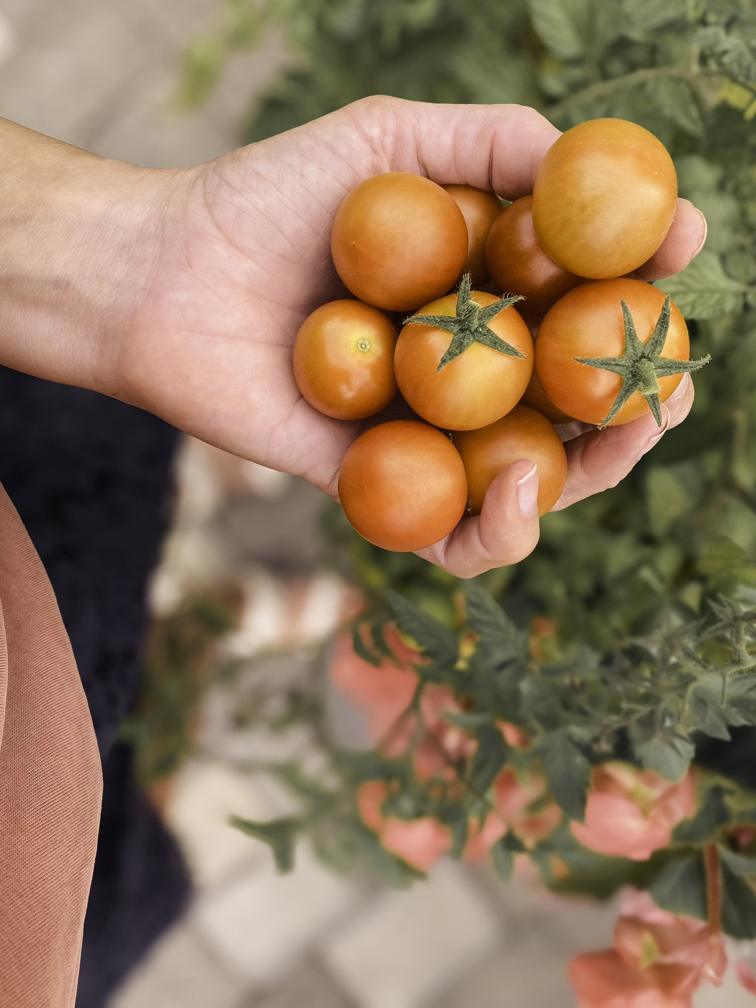 v2?sig=7af3653ff067dbfdc8b692ebfd30faa111a6a7b0189e5614fcd7d148173b9e31