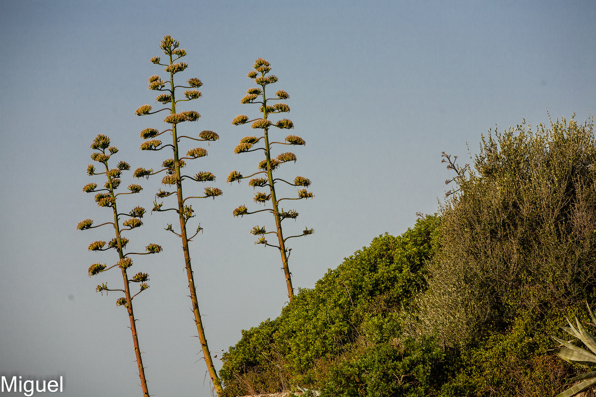Canon EOS 5D sample photo