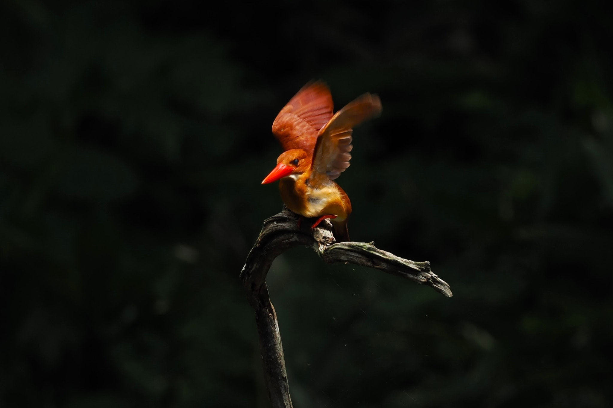  by shoji uno on 500px.com