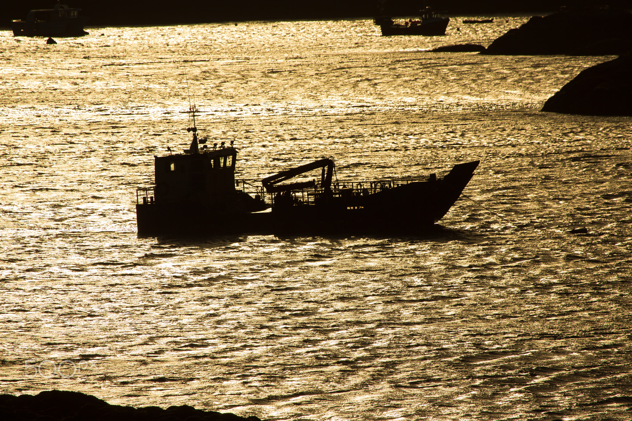 Waiting for the tide.