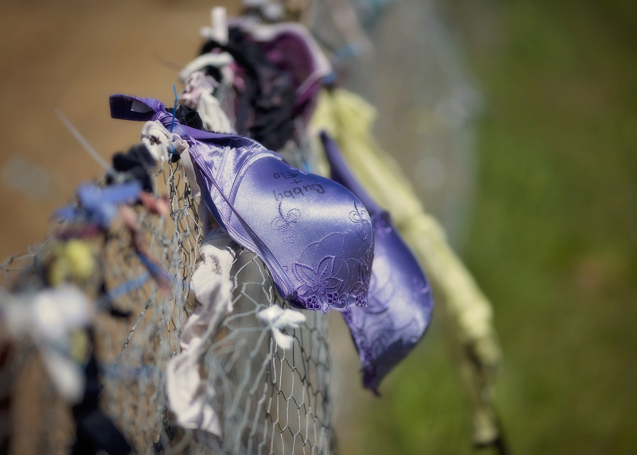 The Bra Fence