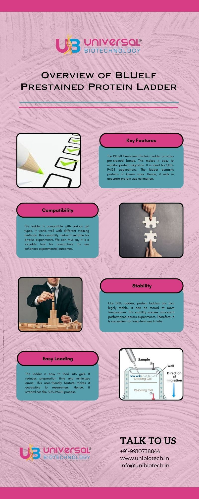 Overview of BLUelf Prestained Protein Ladder