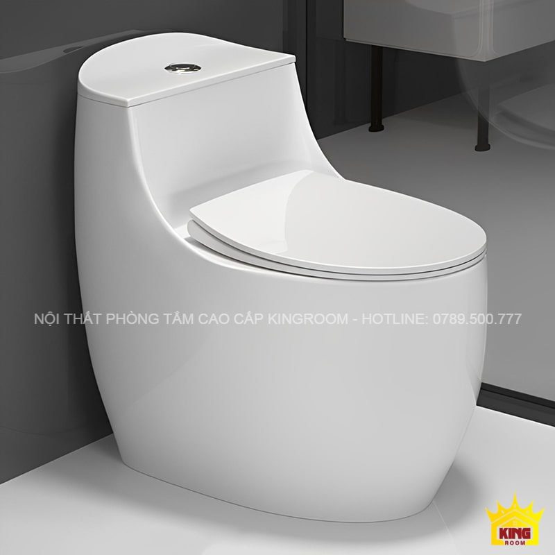 Lựa Chọn Bồn Cầu 1 Khối Cho Phòng Tắm Hiện Đại