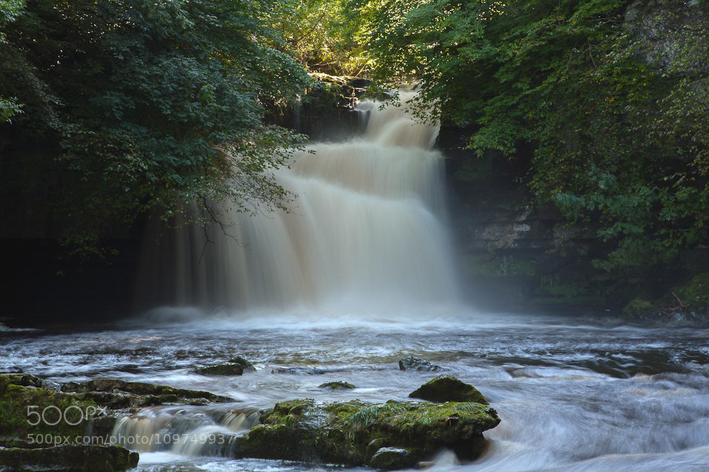Canon EOS 5D sample photo. Untitled photography