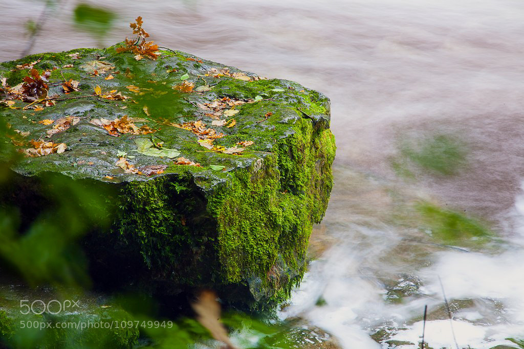 Canon EOS 5D sample photo. Untitled photography