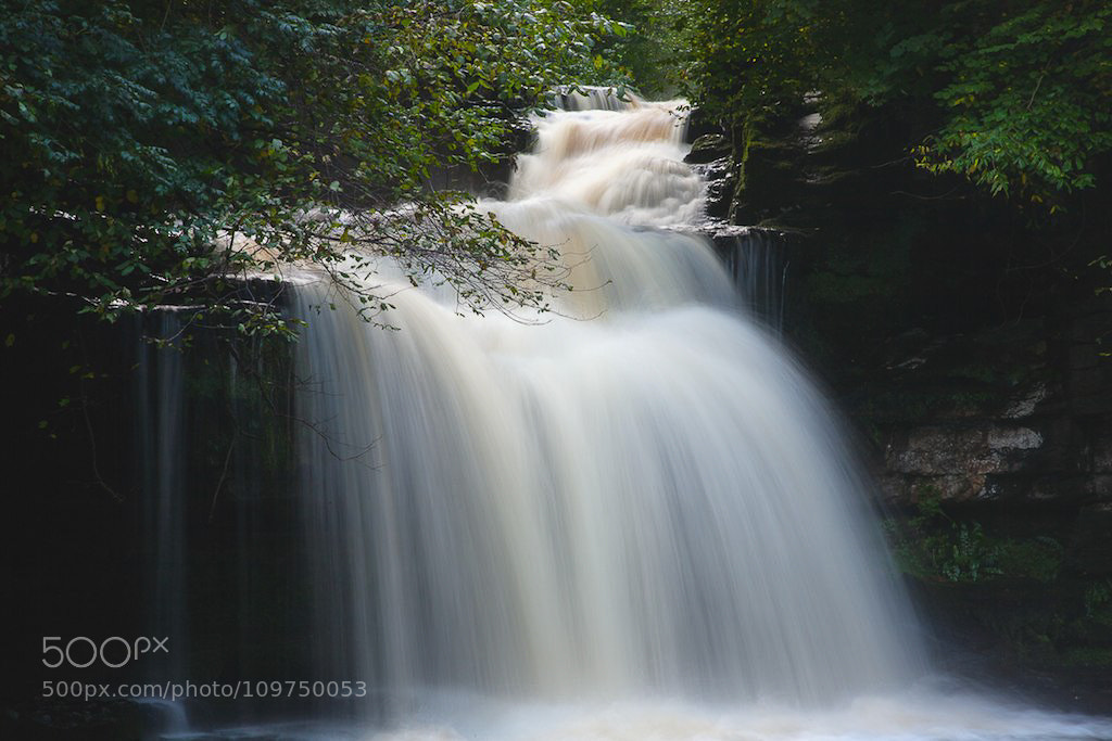 Canon EOS 5D sample photo. Untitled photography