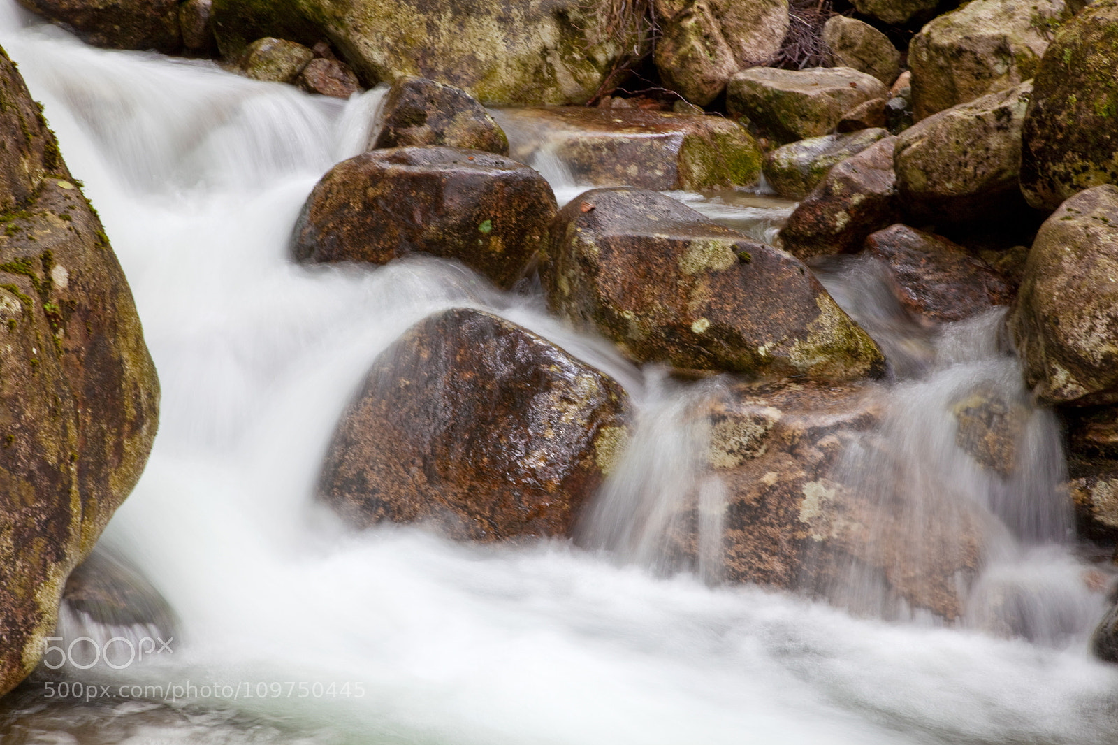 Canon EOS 5D Mark II sample photo. Untitled photography