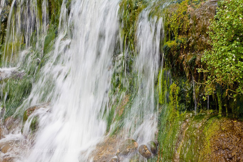 Canon EOS 5D Mark II sample photo. Untitled photography