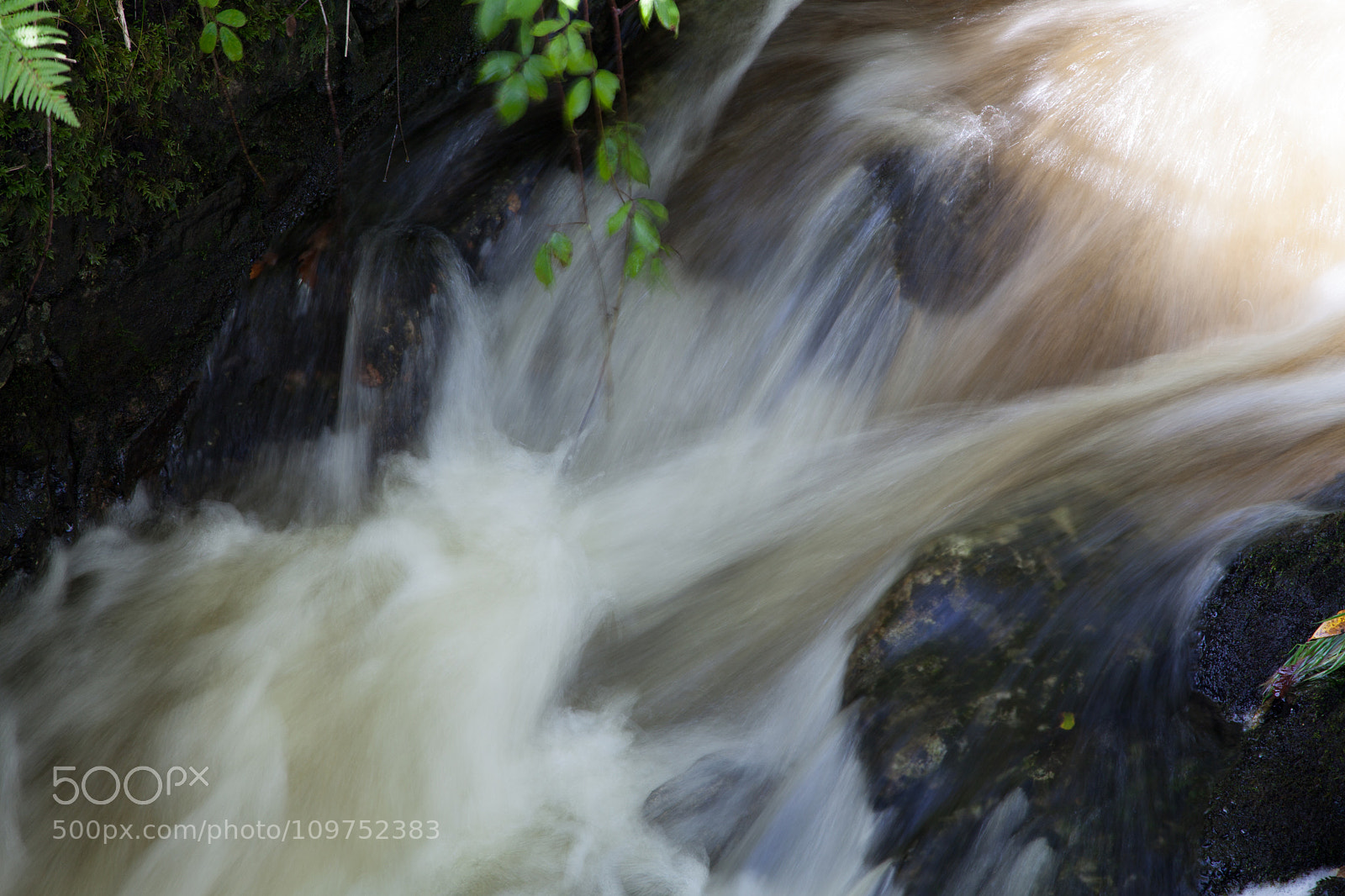 Canon EOS 5D Mark II sample photo. Untitled photography