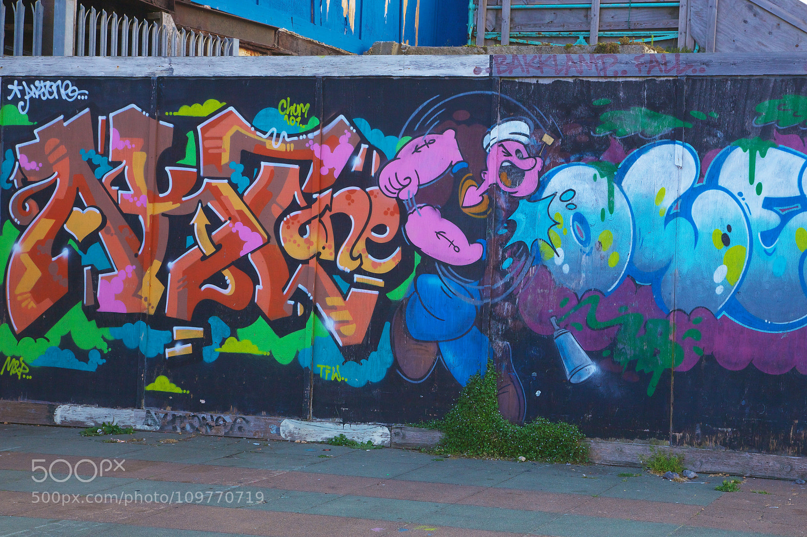 Canon EOS 5D Mark II sample photo. Where's olive? photography
