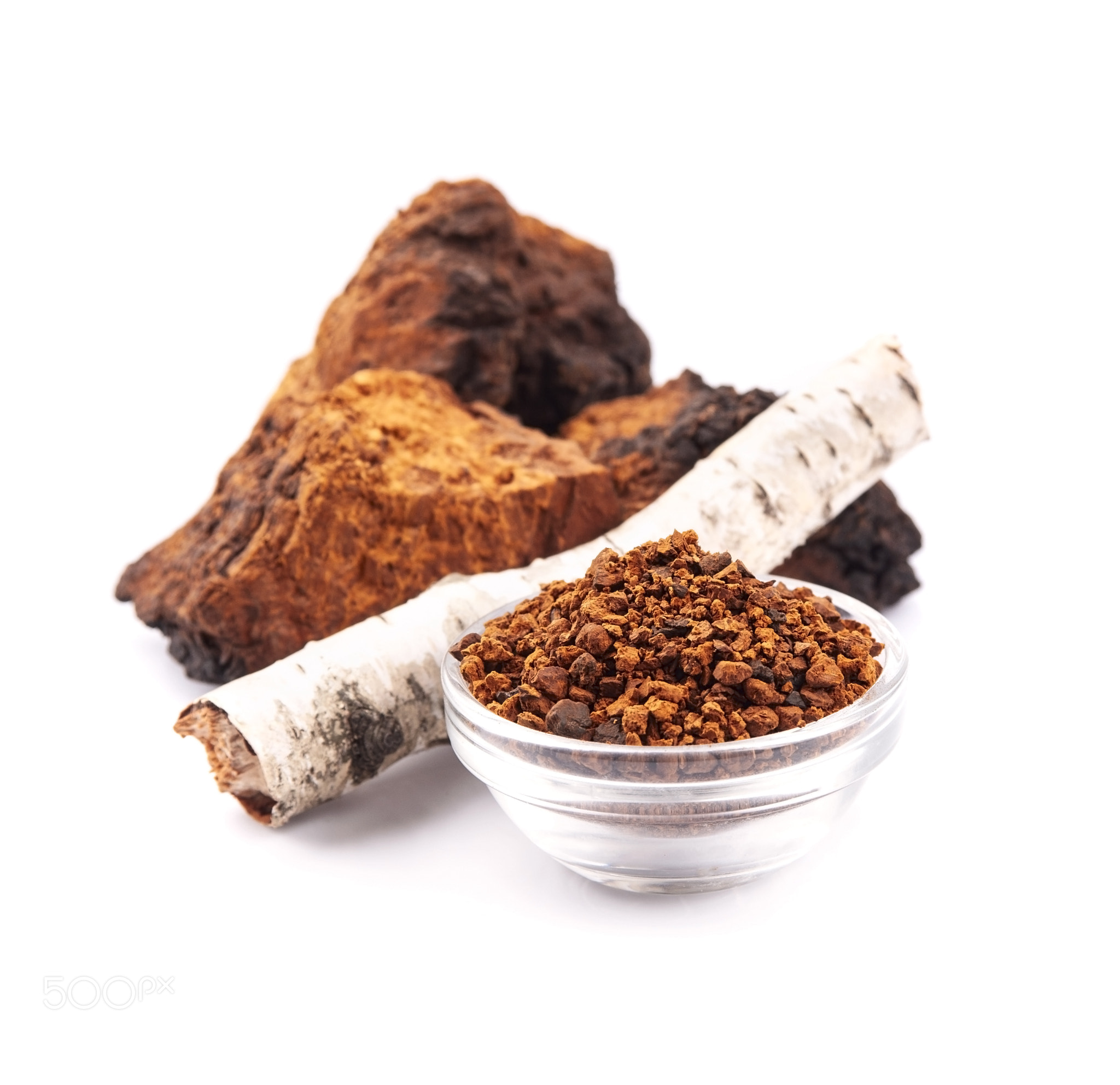 Chaga mushroom pieces with birch