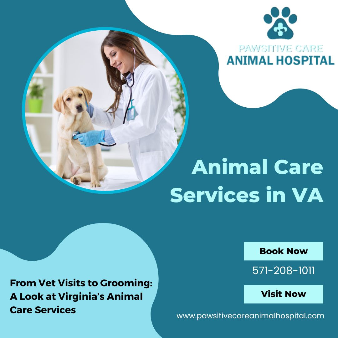 v2?sig=52949d98bc6ce21bbaf5fb095fab513238c19c5b0acc6770f0983b8ac1206014