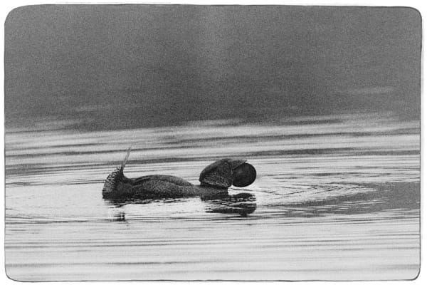 Kadar by Paul Amyes on 500px.com