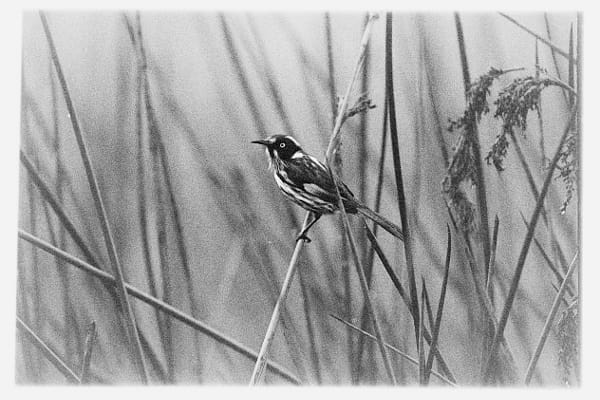 Bandiny by Paul Amyes on 500px.com