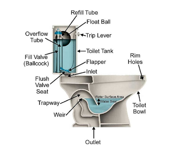 cấu tạo bồn cầu bệt