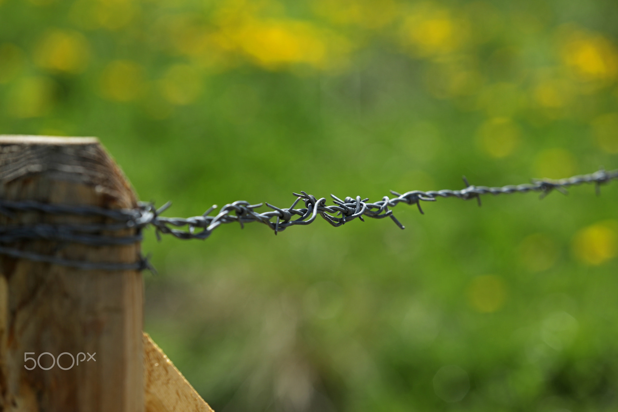 Village landscape with barbed wire and wooden fence posts to keep wild animals away