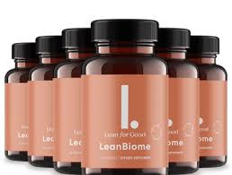 Exploring Daily Routines for a Balanced and Fulfilling Life