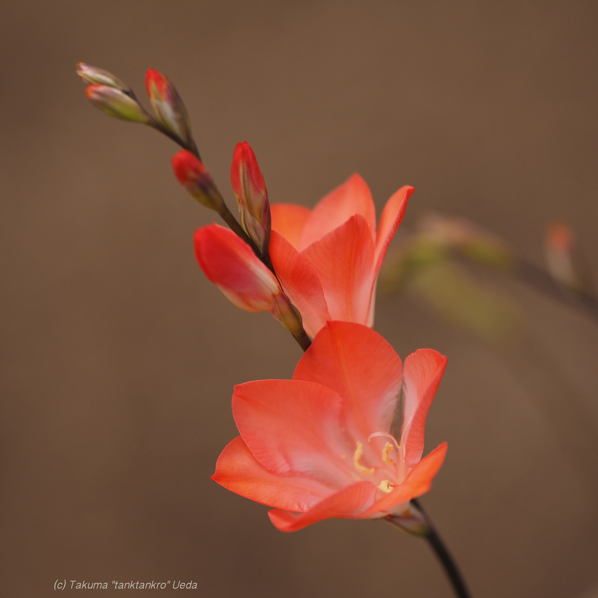 v2?sig=38f5cb94d13eea8fee15805d06407ac259a4877748ae68470f04e47334843f44