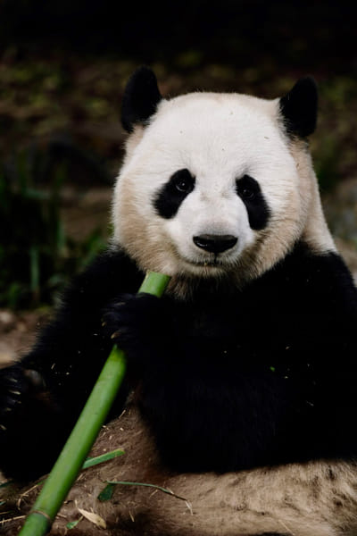 观匠's Photos & Galleries | 500px